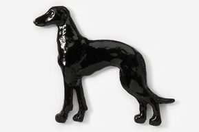 A black dog is standing on the ground