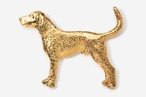 A gold dog is standing on the ground.