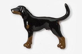 A black and brown dog is standing on its hind legs.