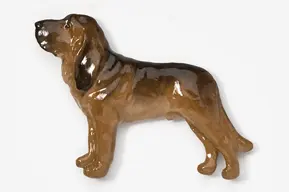 A brown dog is standing on the ground