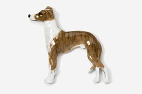 A brown and white dog is standing up