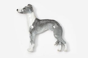 A grey and white dog is standing on its hind legs.