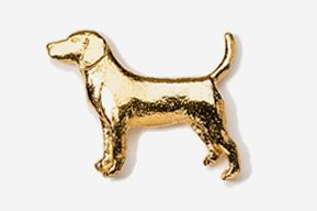 A gold dog is standing in front of the camera.