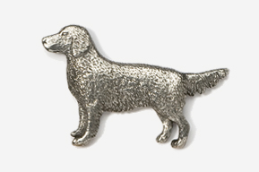 A silver dog is standing on the ground.