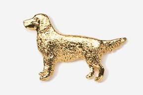 A gold dog is standing on the ground.