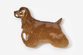 A brown dog is sitting on the ground