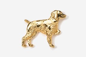 A gold dog is standing on its hind legs.