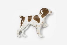 A brown and white dog is standing on its hind legs.