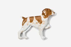 A brown and white dog is standing up