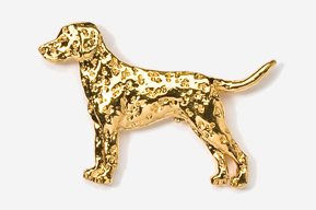 A gold dog is standing in front of the camera.