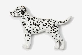 A dalmatian dog is standing on its hind legs.