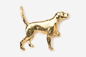 A gold dog is standing on its hind legs.