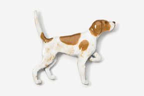 A brown and white dog is standing on its hind legs.