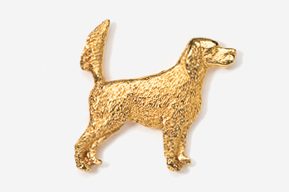 A gold dog is standing in front of the camera.