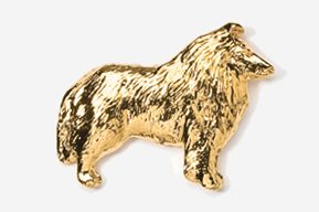 A gold colored dog is shown in this picture.