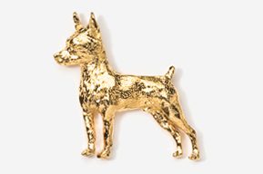 A gold dog is standing in front of the camera.