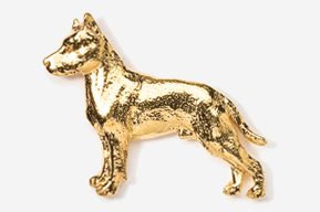 A gold colored dog is standing on its hind legs.