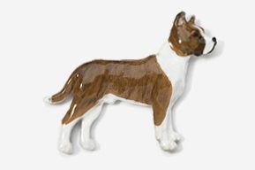 A brown and white dog is standing up