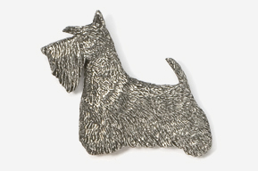 A silver dog is standing up against the wall