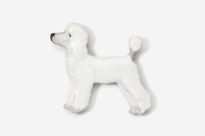 A white poodle is standing up against the wall.