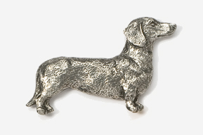 A silver dog is standing up against the wall.