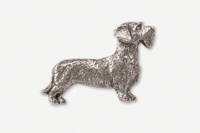 A silver dog is standing up to the side.