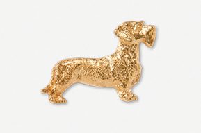 A gold dog is standing up in the air.