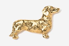 A gold dog is standing up against the wall.