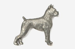 A silver dog is standing up in the air