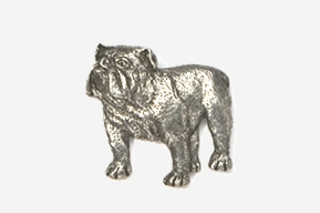 A silver bulldog is standing up to the side.