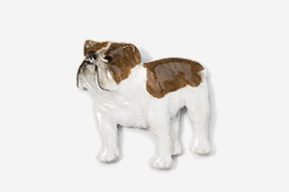 A brown and white dog is standing up.