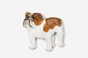 A brown and white dog is standing up