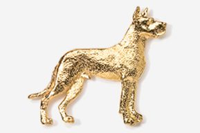 A gold dog is standing in front of the wall.