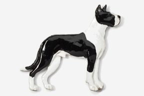 A black and white dog is standing on its hind legs.