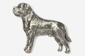 A silver dog is standing on the ground