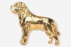 A gold dog is standing in front of the camera.