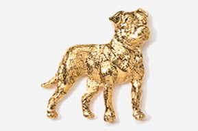 A gold colored dog is standing in front of the camera.