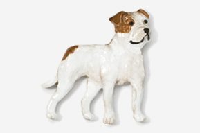 A brown and white dog standing on top of a table.