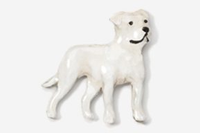 A white dog is standing in front of the camera.