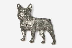 A silver dog is standing up against the wall