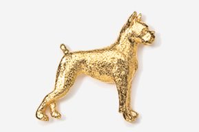 A gold dog is standing in front of the camera.