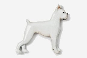 A white dog standing on its hind legs.