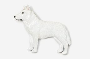 A white dog is standing on the ground