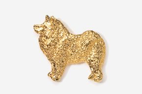 A gold colored dog is shown in this image.