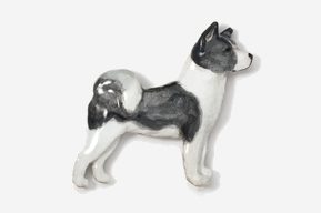 A black and white dog is standing up