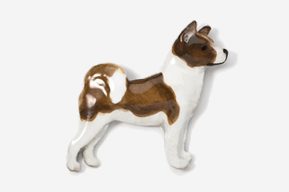 A brown and white dog is standing up