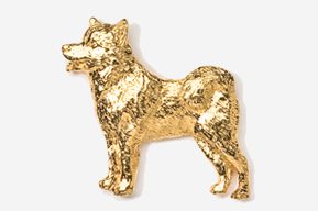 A gold dog is standing in front of the camera.