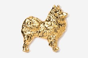 A gold colored dog is shown in this picture.