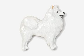 A white dog is standing up against the wall.