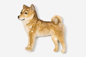 A brown and white dog standing on top of a floor.